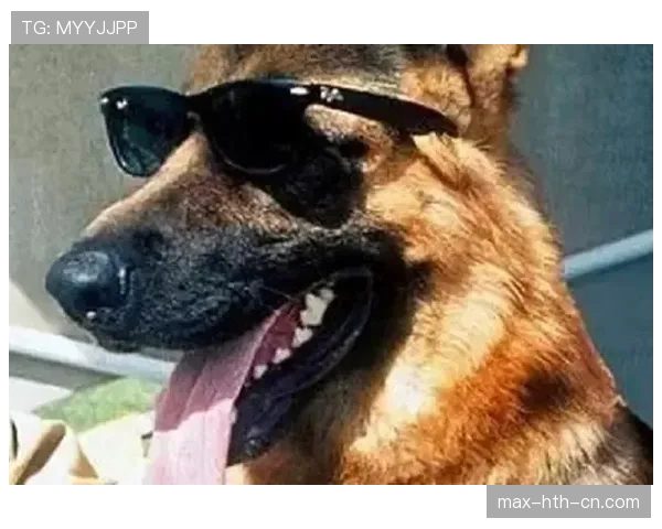 孙悦家的狗吃的比我还贵